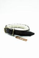 Collar San Polos Mascotas OCR104 Coñac